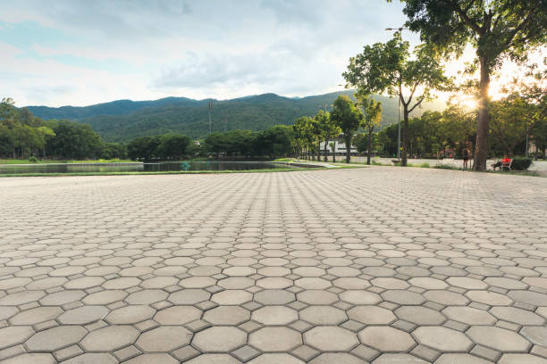 Best Residential Paver Driveway  in Metter, GA